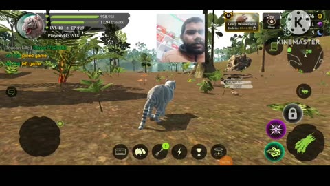Tiger hunter