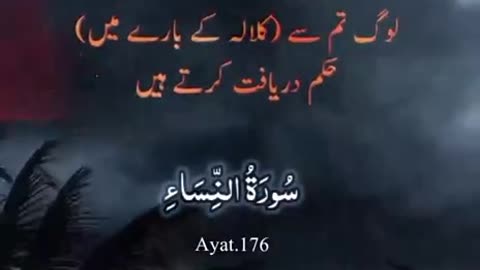 Beshak 💯♥️✨🕊️