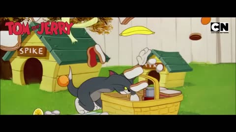 Funny Tom and Jerry- Mischief at Full Speed!