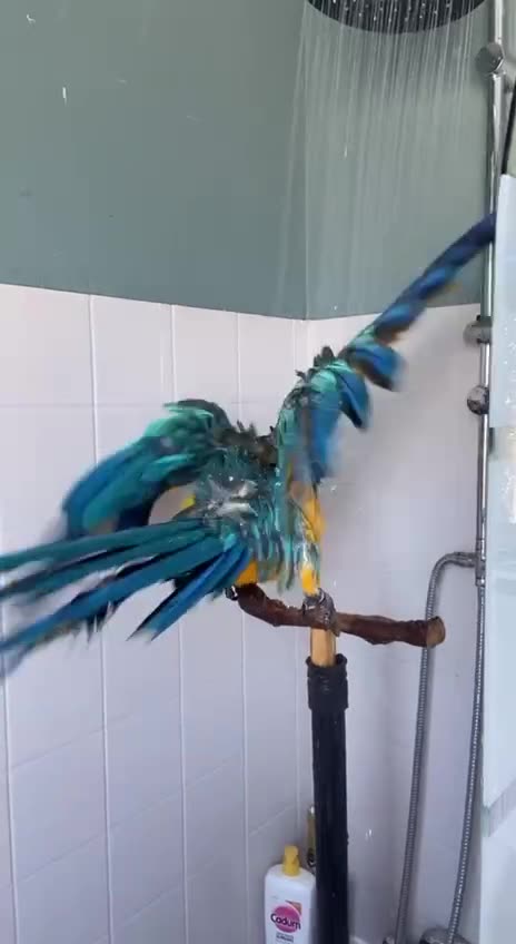 You’re not fully clean unless you’re zestfully clean