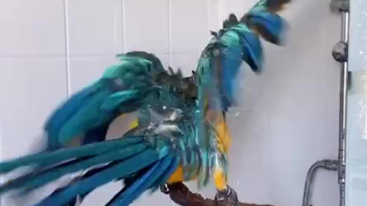 You’re not fully clean unless you’re zestfully clean