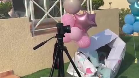 Best Gender Reveal Ever #funnyMoments #lol