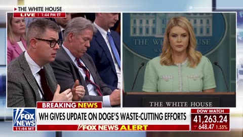 Karoline Leavitt blasts 'insulting' question from AP reporter on tariffs