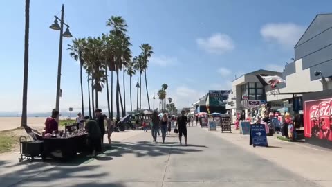 Beach Walk Palm Trees & Street Vendors