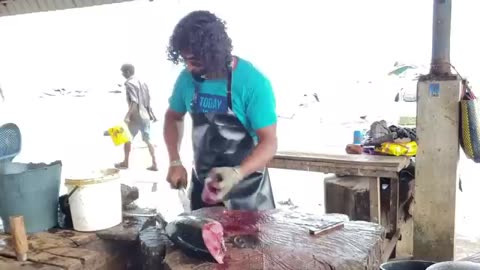 Tuna fish cutting |Fish cutting skills Sri Lanka