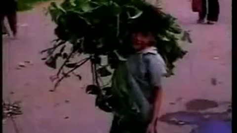 NHẠC = EM BÉ VÀ VIÊN SỎI