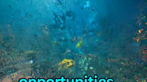 What is artificial reefs|describe