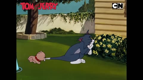 Funny Tom and Jerry_ Chaos, Friendship _ Fatherhood!