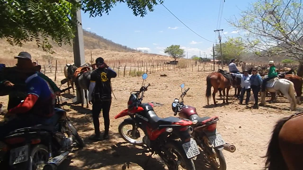 festa de vaqueiro