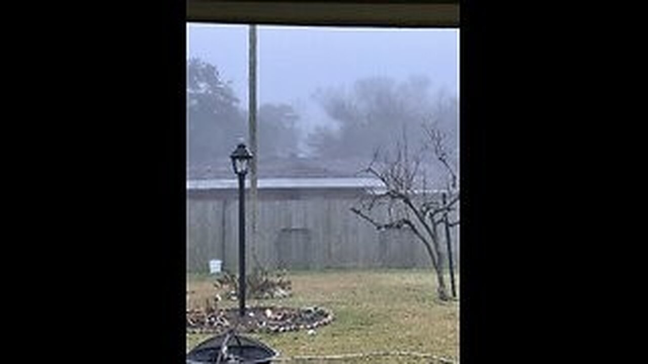 Dense Fog February 4, 2025 Lake Charles, Louisiana