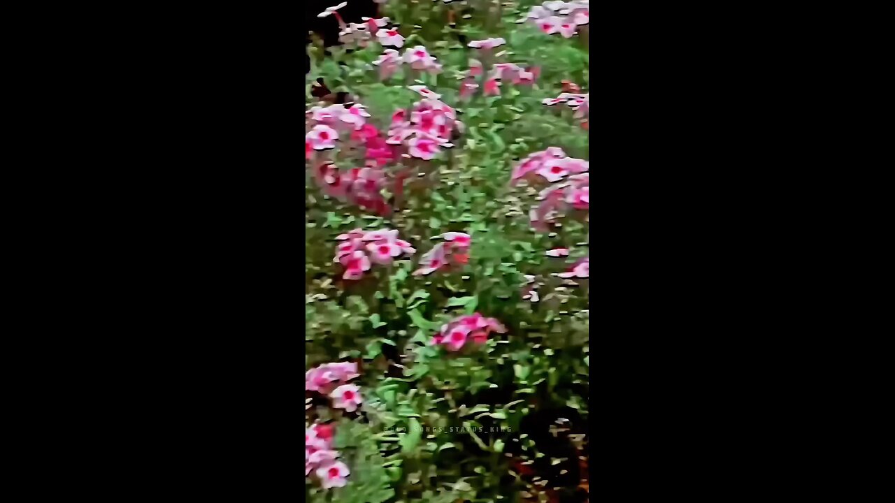 Chanda tu mera suraj hai tu