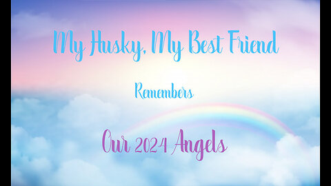 My Husky, My Best Friend - Our 2024 Angels