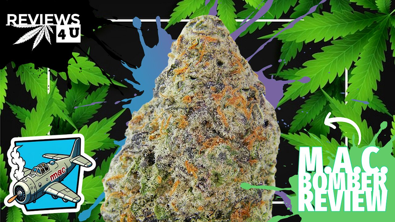 M.A.C. BOMBER | REVIEWS 4 U