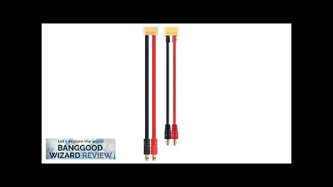 22cm 12/14AWG XT60 Male Plug to 4.0mm Banana Plug Silicone Cable Review