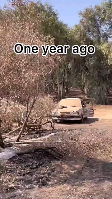 WARNING! GRAPHIC CONTENT! October 7th reminder - Why Israel HAVE to eliminate these Terrorist!