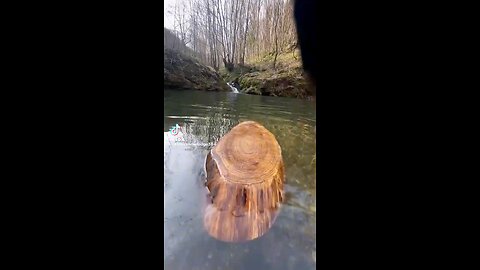 nikkah Islamic videos kindly follow and like my video plz