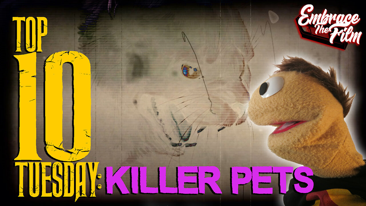 Top 10 Killer Pets