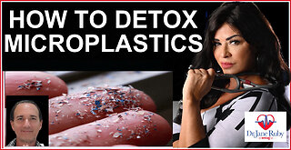 HOW TO DETOX MICRO/NANOPLASTICS FROM OUR BODIES