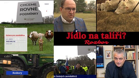 Jeli na traktorech za kvalitnější hovězí