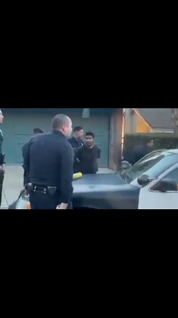 Arsonist Arrested In Connection To The Fires In Los Angeles, Looks Like A Migrant