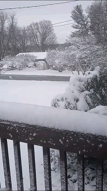 blizzard December 2024