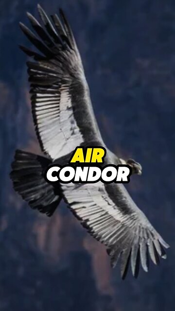 Air Condor