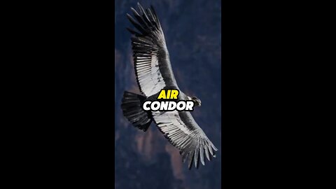 Air Condor