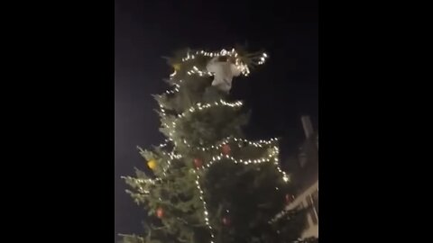 Climbing christmas tree