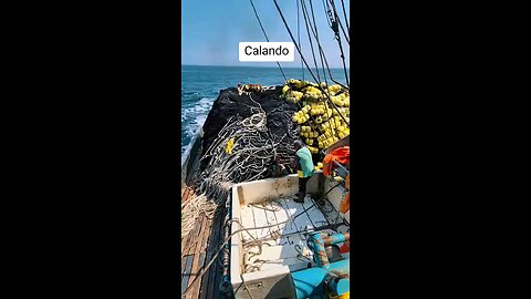 "Casting a Fishing Net in the Ocean"