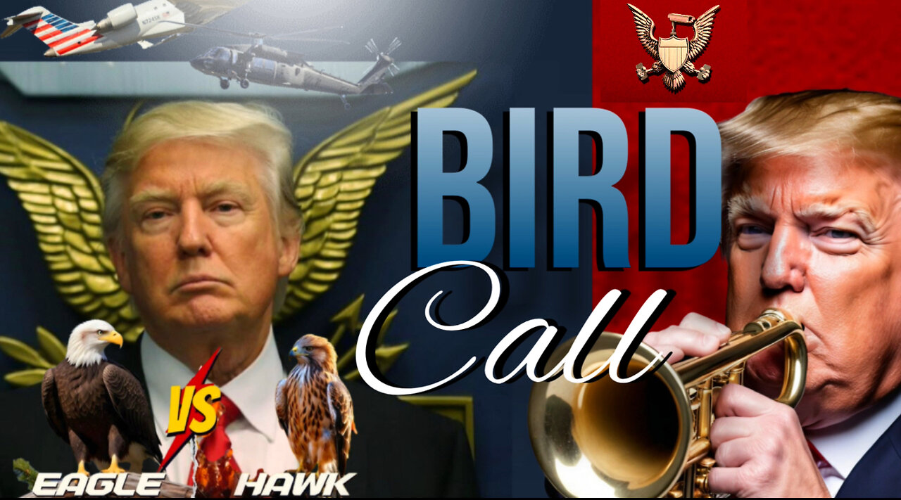 Bird Call