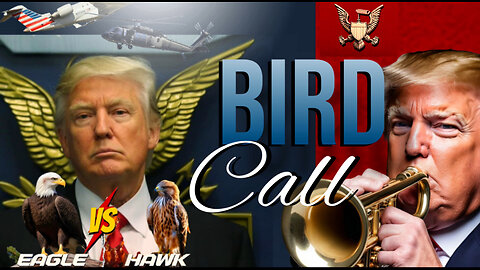 Bird Call