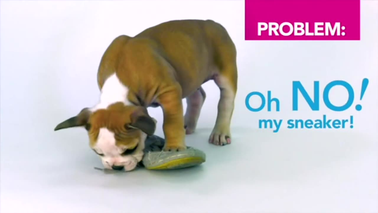 Nylabone Puppy Teething Chew Toy Pacifier – Bacon Flavored for Small Puppies
