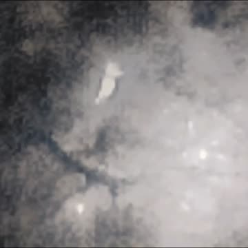 Russian Soldier Goes Out Like Elvis