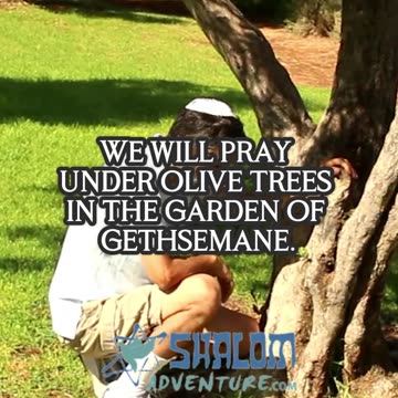 Travel Through the Bible on This Unforgettable Tour