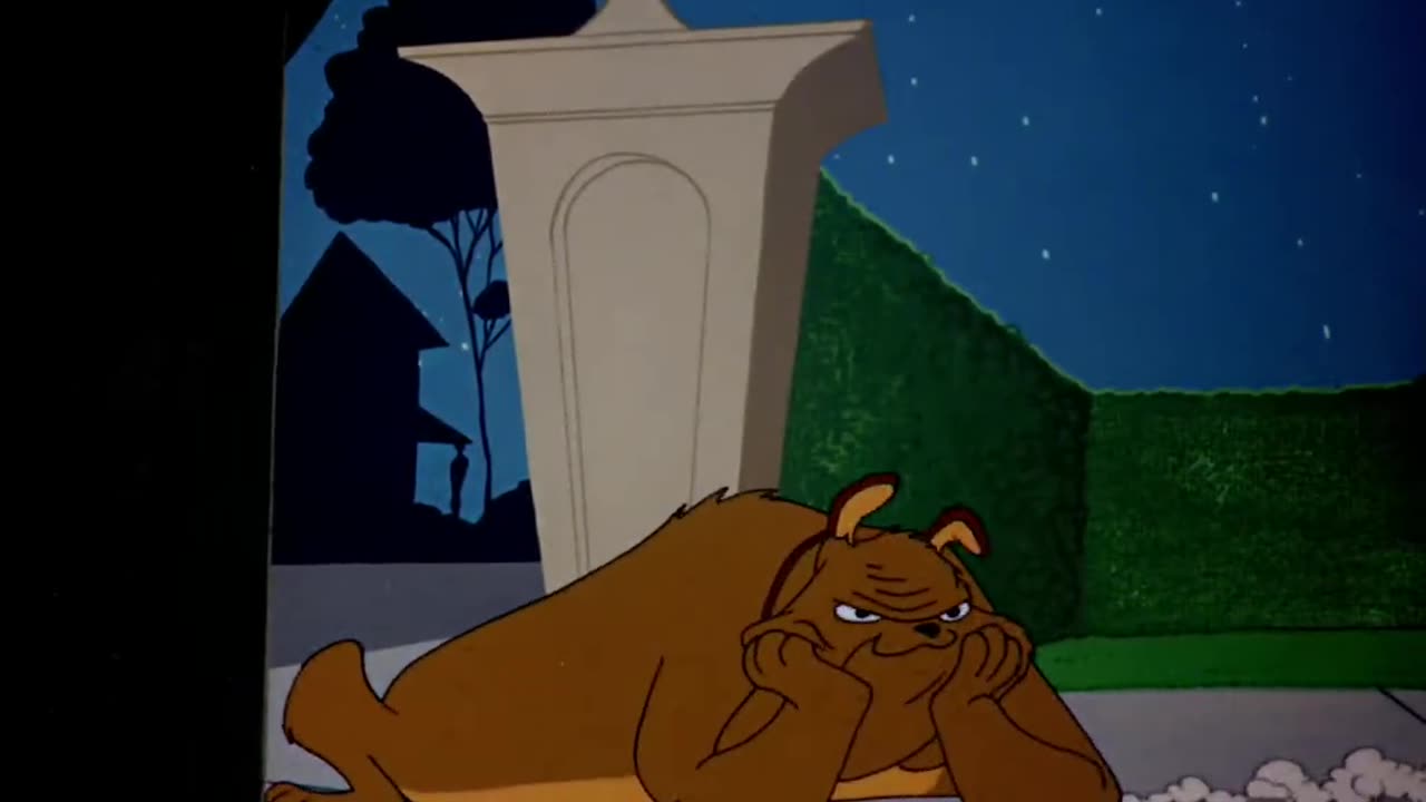 Looney Tunes Golden Collection S1954E04 Feline Frame-up