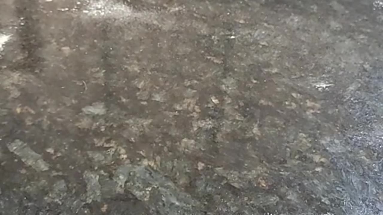 English Muffins Part 2