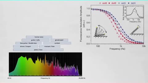 Our DNA and Music