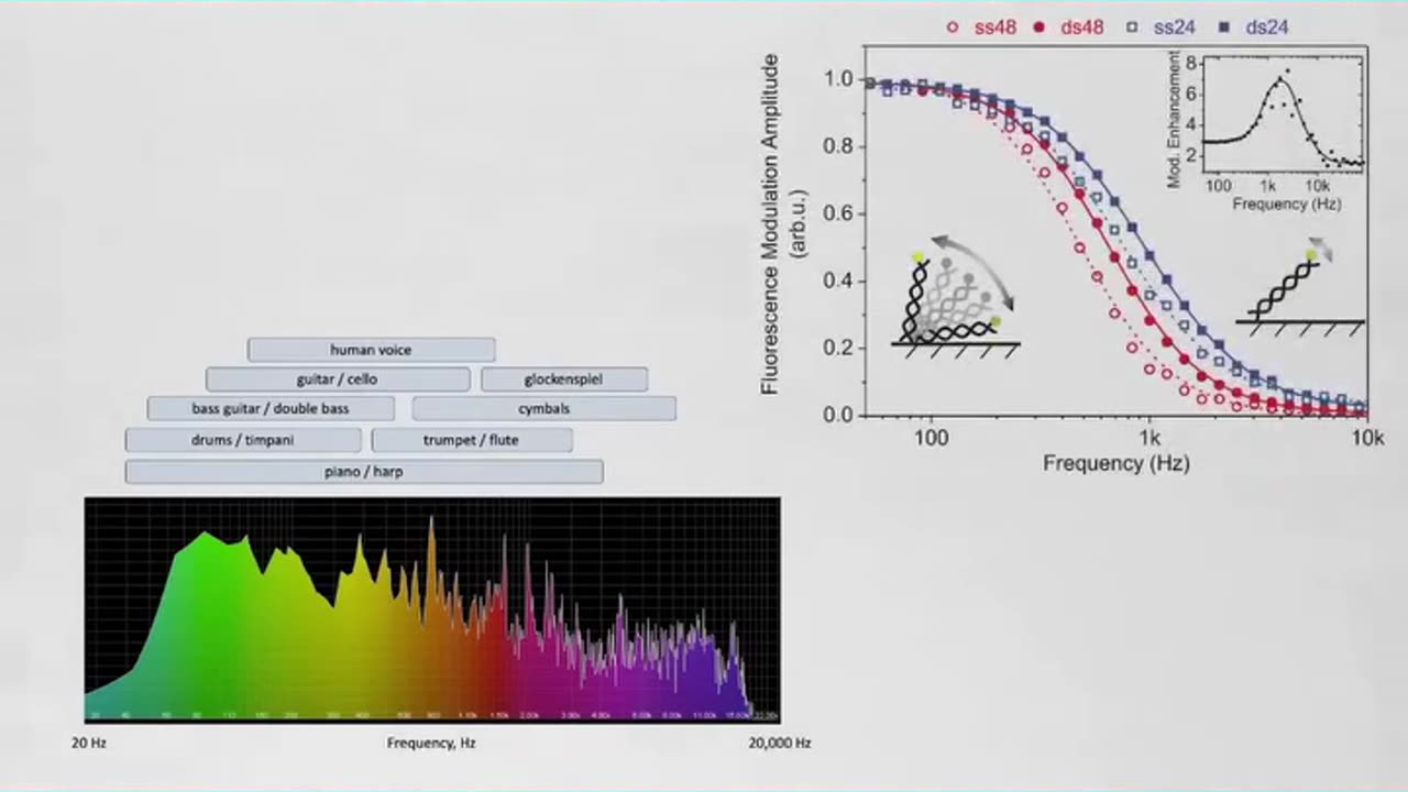 Our DNA and Music