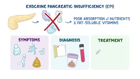 Exocrine pancreatic insufficiency (Year of the Zebra 2024)