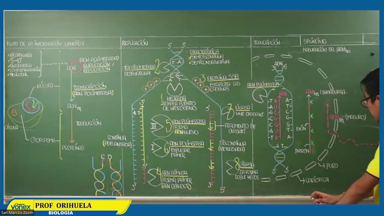VONEX SEMIANUAL 2023 | Semana 07 | Biología S1