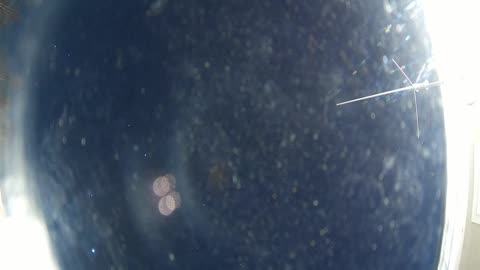 24 Dec 2024 AllSky Timelapse - Delta Junction, Alaska #AllSky