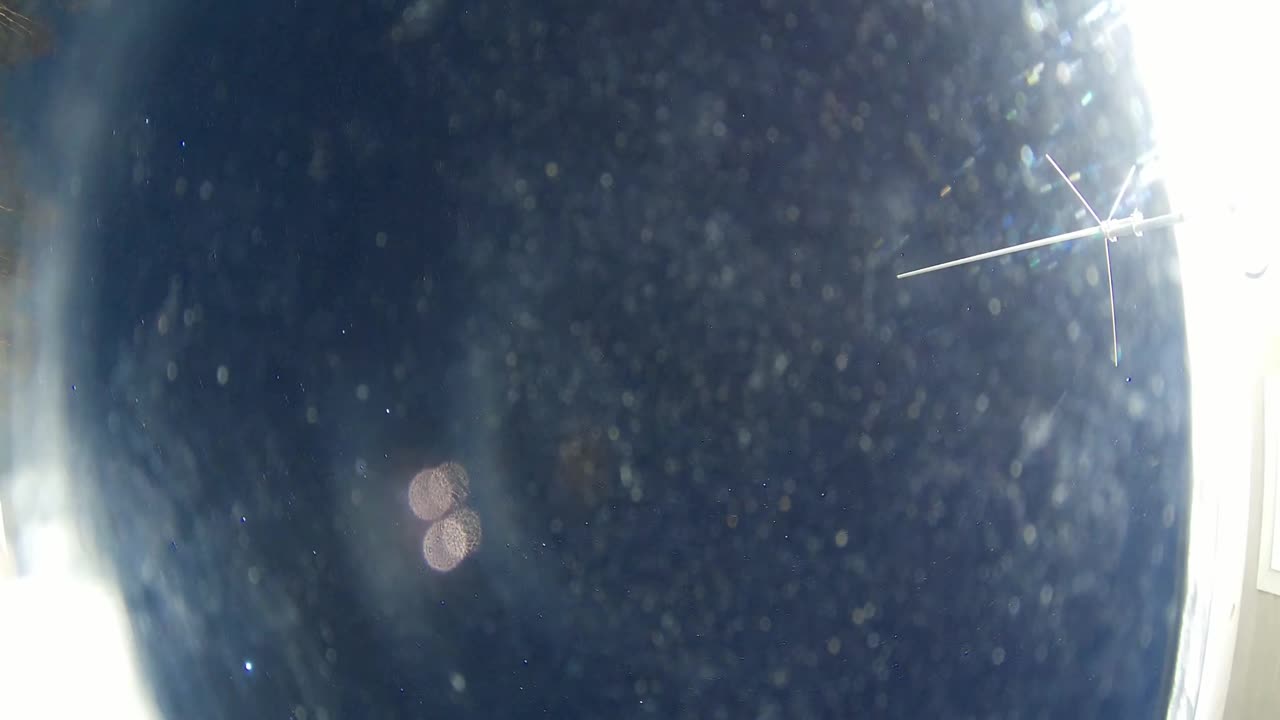 24 Dec 2024 AllSky Timelapse - Delta Junction, Alaska #AllSky