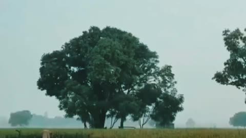 #Gaon Ka Bite Hue Kuchh Yaden 👌👌🫡🫡