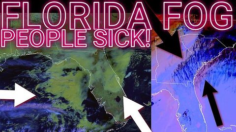 🚨FLORIDA Residents SICK Forom FOG! JAPAN LARGEST Snowstorm EVER! PART1 AND 2