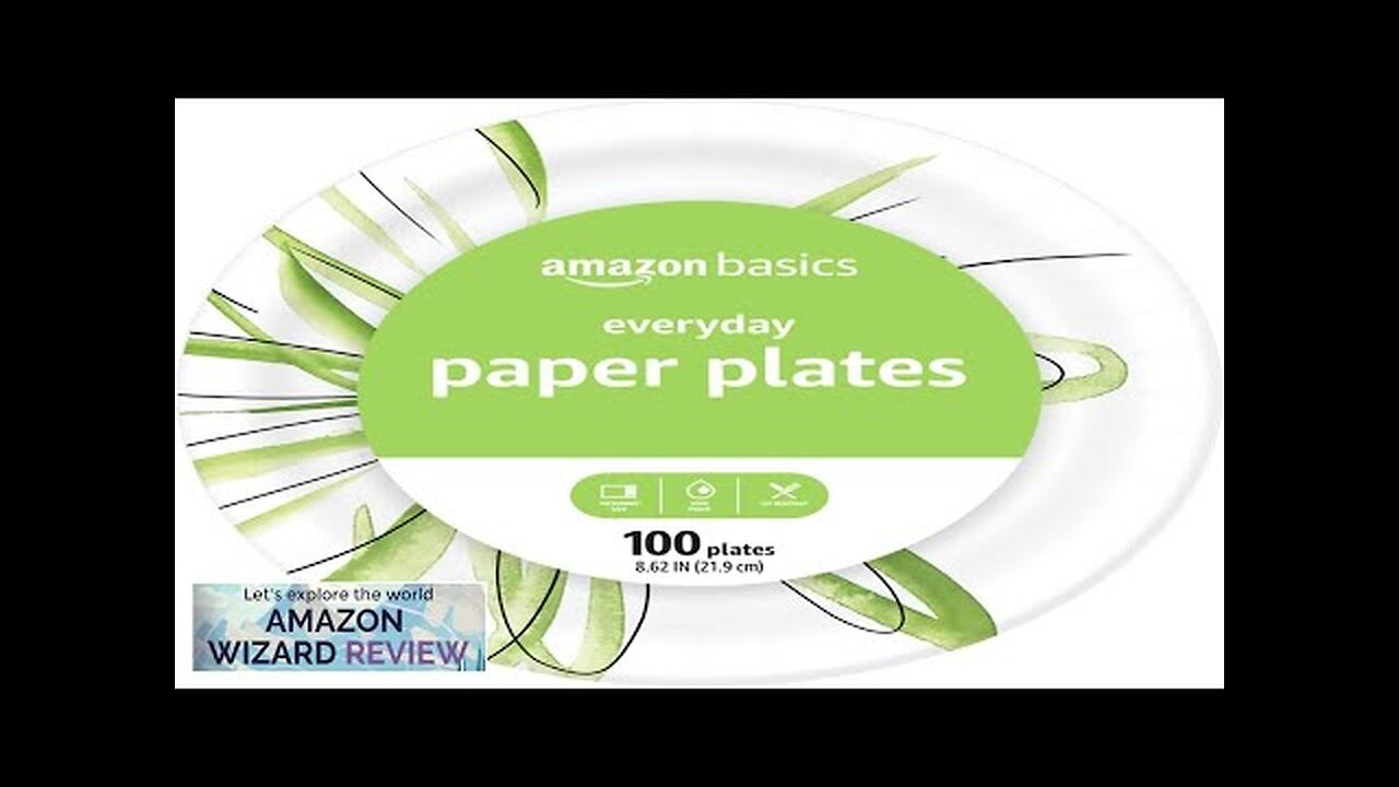 Amazon Basics Everyday Paper Plates 8 5/8 Inch Disposable 100 Review