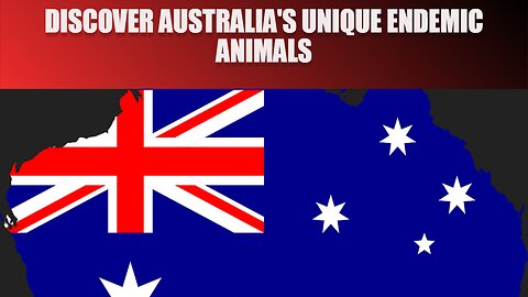 Discover Australia's Unique Endemic Animals