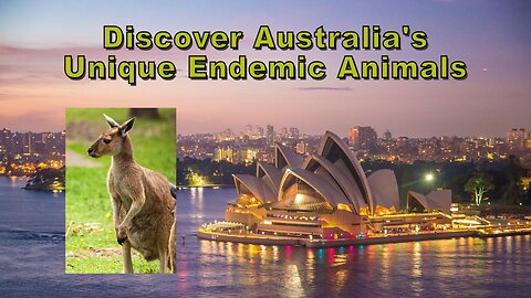 Discover Australia's Unique Endemic Animals