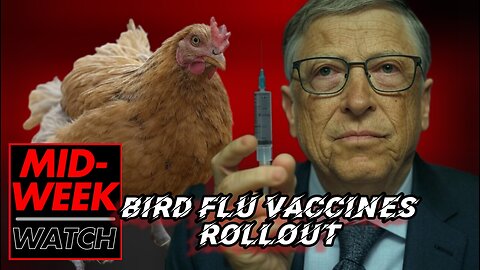 PLANdemic 2.0! Pfizer Bird Flu/H5N1 Vaccines are READY! + Chemical Fog Rollout & New Year's Scam | Midweek Watch: YNN News Desk 1/1/25