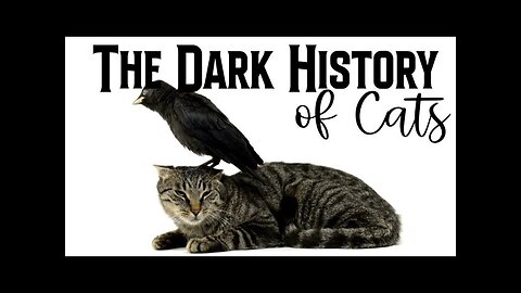 They were almost ERADICATED! 😫 Omens, Witchcraft & Cats ● BONUS EPISODE