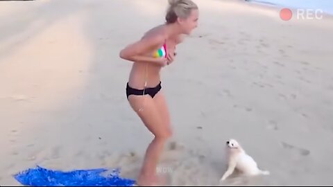 🌴 100 Incredible Beach Moments Caught On Camera | Idiots In Boats 🚤